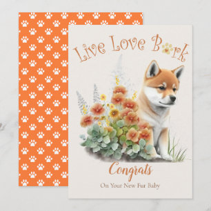Shiba Inu hondenadoptie, Gotcha-dag Kaart
