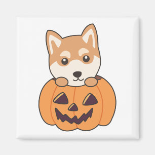 Shiba Inu In Pompoen Zoete Honden Gelukkig Hallowe Magneet
