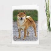 Shiba Inu Kaart (Voorkant)