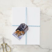 Shiba Inu Laat het Sneeuwen Kerstmis Cadeaulabel (Met Touw)
