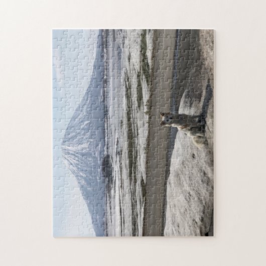 Shiba Inu Legpuzzel (Verticaal)