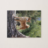 Shiba Inu Legpuzzel (Horizontaal)