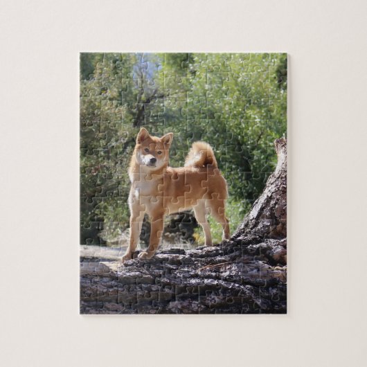 Shiba Inu Legpuzzel (Verticaal)