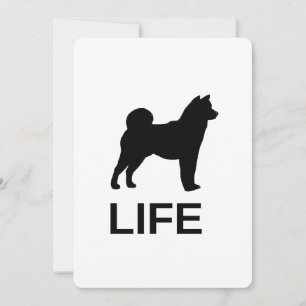 shiba inu leven kaart