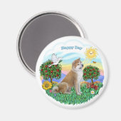 Shiba Inu Magneet (Voorkant / Achterkant)