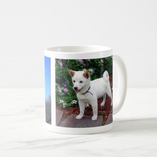 Shiba-inu Maru Koffiemok (Voorkant rechts)