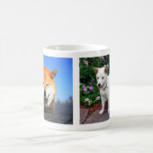 Shiba-inu Maru Koffiemok (Center)