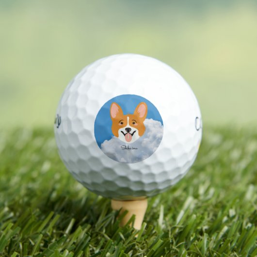 Shiba Inu met Sky Golf Balls Golfballen (Insitu Shirt)