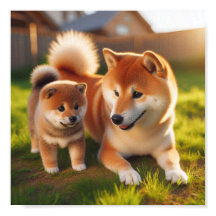 Shiba Inu moeder en haar puppy
