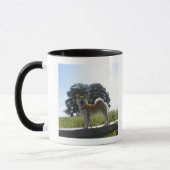 Shiba Inu Mok (Links)