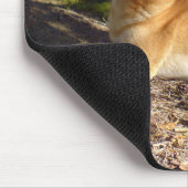 Shiba-Inu Muismat (Hoek)