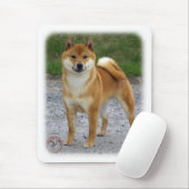 Shiba Inu Muismat (Met muis)