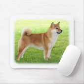 Shiba Inu Muismat (Met muis)