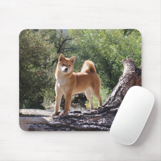 Shiba Inu Muismat (Met muis)