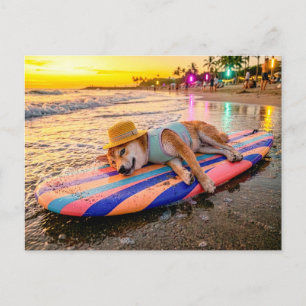 Shiba Inu ontspant op Sunset Surfboard Briefkaart