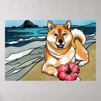 Shiba Inu op het Chinese Pet, Hawaii