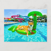 Shiba Inu op palm drijver