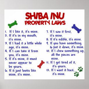 SHIBA INU PL2 POSTER