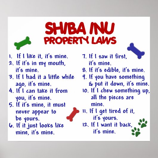 SHIBA INU PL2 POSTER (Voorkant)