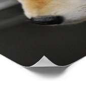 Shiba Inu Poster (Hoek)