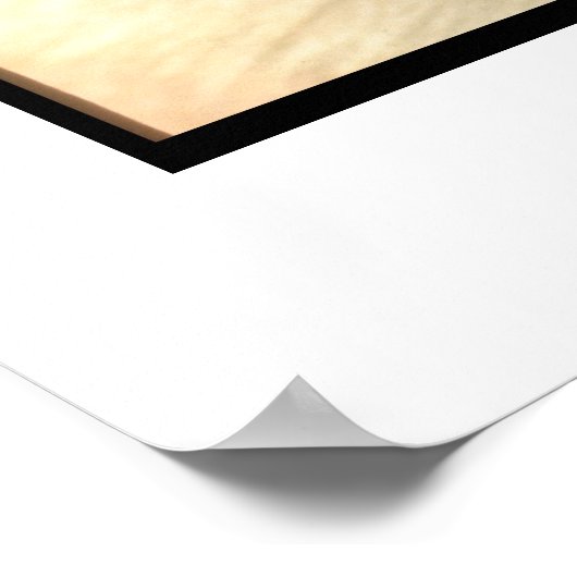 Shiba Inu Poster (Hoek)