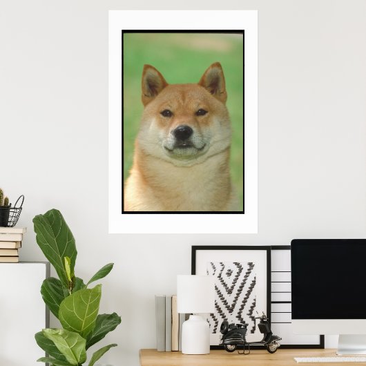 Shiba Inu Poster (Thuiskantoor)