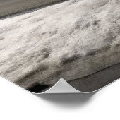 Shiba Inu Poster (Hoek)