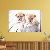 Shiba Inu-puppies in aluminiumbad Canvas Afdruk (Insitu (Woonkamer))