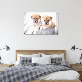 Shiba Inu-puppies in aluminiumbad Canvas Afdruk (Insitu (Slaapkamer))