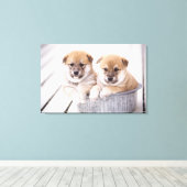 Shiba Inu-puppies in aluminiumbad Canvas Afdruk (Insitu (Houten vloer))