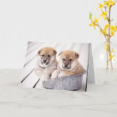 Shiba Inu-puppies in aluminiumbad Kaart (Gele Bloem)