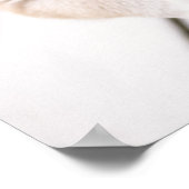 Shiba Inu-puppies in aluminiumbad Poster (Hoek)