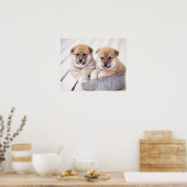 Shiba Inu-puppies in aluminiumbad Poster (Keuken)