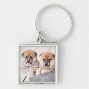 Shiba Inu-puppies in aluminiumbad Sleutelhanger