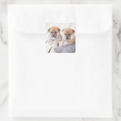 Shiba Inu-puppies in aluminiumbad Vierkante Sticker (Tas)