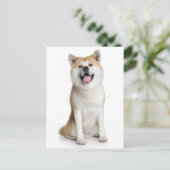 Shiba Inu Puppy Dog Greeting Post Card Briefkaart (Staand voorkant)