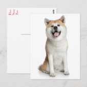 Shiba Inu Puppy Dog Greeting Post Card Briefkaart (Voorkant / Achterkant)