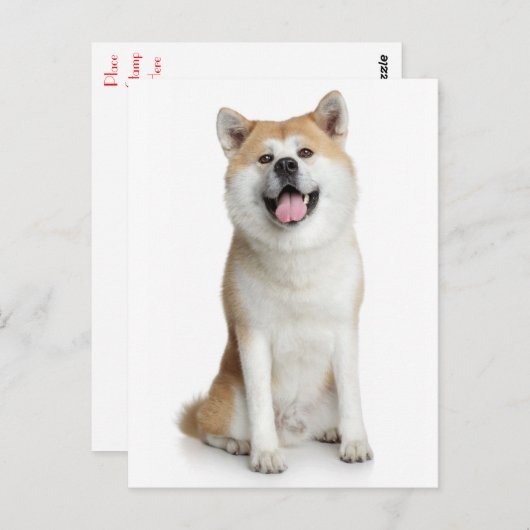 Shiba Inu Puppy Dog Greeting Post Card Briefkaart (Voorkant / Achterkant)
