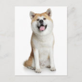 Shiba Inu Puppy Dog Greeting Post Card Briefkaart (Voorkant)