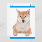 Shiba Inu Puppy Dog Greeting Post Kaart (Voorkant / Achterkant)