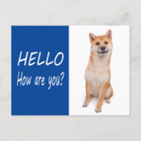 Shiba Inu Puppy Dog Greeting Post Kaart