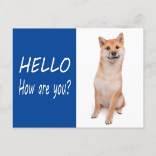 Shiba Inu Puppy Dog Greeting Post Kaart