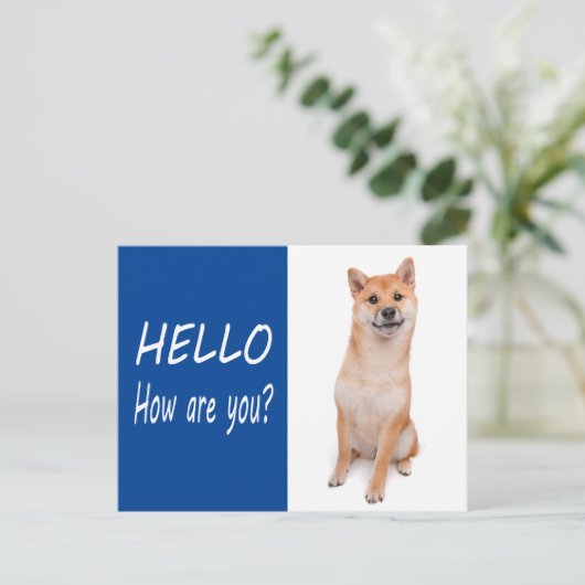 Shiba Inu Puppy Dog Greeting Post Kaart (Staand voorkant)