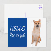 Shiba Inu Puppy Dog Greeting Post Kaart (Voorkant / Achterkant)