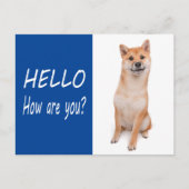 Shiba Inu Puppy Dog Greeting Post Kaart (Voorkant)
