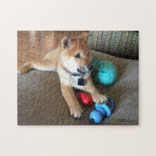 Shiba Inu Puppy met foto van kleurrijke speelgoed Legpuzzel