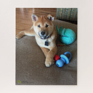 Shiba Inu Puppy met foto van kleurrijke speelgoed Legpuzzel