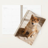 Shiba Inu Puppy Planner (Display)