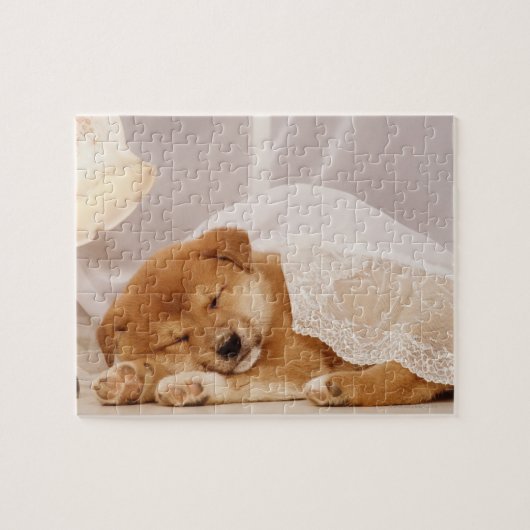 Shiba Inu-puppy slaapt onder een nettogordijn Legpuzzel (Horizontaal)