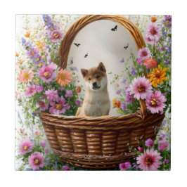 Shiba Inu Puppy Tegeltje